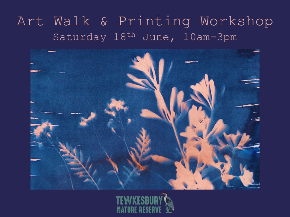 Art Walk and Printing Workshop with artist Andrew Howe, Saturday 18th June, 10am to 3pm